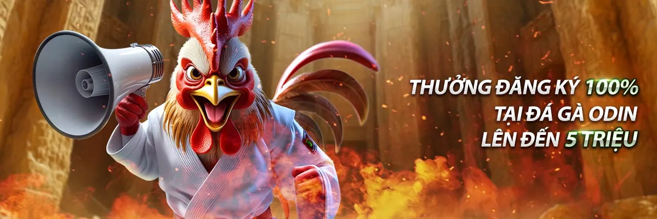 Hình ảnh hành trình nâng cấp VIP